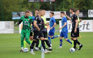 podlesiankakosztowy12 podlesiankakosztowy12
