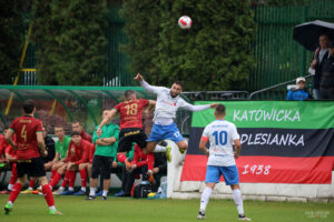 PodlesieMyszkow (8)