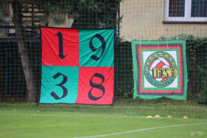 PodlesiankaRozwoj (6)