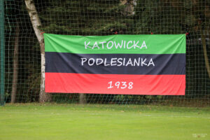 PodlesiankaRozwoj (8)